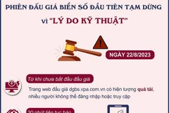 [Infographics] Vì sao phiên đấu giá biển số ôtô đầu tiên bị tạm dừng?