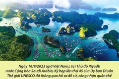 Quần thể Vịnh Hạ Long-Quần đảo Cát Bà là Di sản Thiên nhiên Thế giới