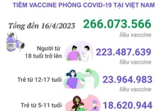 Cập nhật tình hình tiêm vaccine phòng COVID-19 được tiêm ở Việt Nam