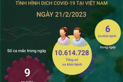 [Infographics] Cập nhật tình hình dịch COVID-19 ở Việt Nam ngày 21/2