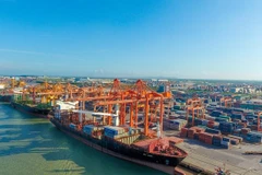 Xếp dỡ hàng hóa container tại một cảng biển Việt Nam. (Ảnh: CTV/Vietnam+) 