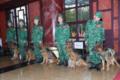 Đội chó nghiệp vụ làm công tác cứu hộ, cứu nạn của lực lượng Bộ đội Biên phòng sẵn sàng lên đường. (Ảnh: Trọng Đức/TTXVN)