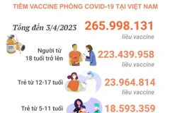 [Infographics] Tình hình tiêm vaccine phòng COVID-19 tại Việt Nam