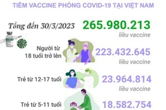 [Infographics] Tình hình tiêm vaccine phòng COVID-19 tại Việt Nam