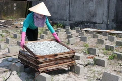 Ngư dân vùng biển huyện Gio Linh, tỉnh Quảng Trị, phơi cá khô. (Ảnh: Nguyên Lý/TTXVN)