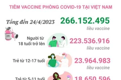 [Infographics] Tình hình tiêm vaccine phòng COVID-19 tại Việt Nam