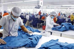 May hàng xuất khẩu. (Ảnh: Trần Việt/TTXVN)