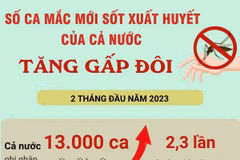 [Infographics] Số ca mắc mới sốt xuất huyết của cả nước tăng gấp đôi