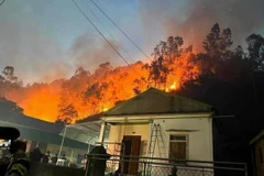 Các lực lượng chức năng đã xuyên đêm nỗ lực dập lửa, bên cạnh đó có phương án sơ tán người già, trẻ nhỏ gần khu vực xảy ra đám cháy đến nơi an toàn. (Ảnh: TTXVN phát)