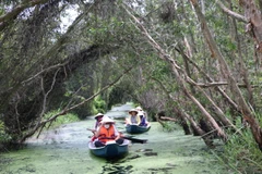 Du khách tham quan tại Làng Nổi Tân Lập, huyện Mộc Hóa, tỉnh Long An. (Ảnh: Thanh Bình/TTXVN)