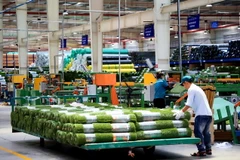 Công nhân làm việc trong nhà máy sản xuất thảm cỏ nhân tạo, Công ty TNHH CCGrass Việt Nam ở Khu công nghiệp Phước Đông, huyện Gò Dầu. (Ảnh: Hồng Đạt/TTXVN)