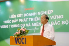 Ông Hoàng Quang Phòng, Phó Chủ tịch Liên đoàn Thương mại và Công nghiệp Việt Nam phát biểu. (Ảnh: Tuấn Đức/TTXVN)