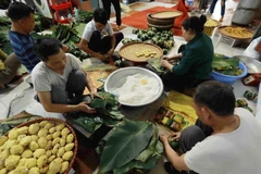[Photo] Hà Nội: Nức tiếng gần xa bánh chưng làng Tranh Khúc