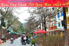 [Photo] Rộn ràng chợ hoa Tết Nguyên đán Quý Mão 2023 ở Hà Giang 