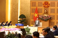 Phó Thủ tướng Trần Lưu Quang phát biểu chỉ đạo tại cuộc họp của Hội đồng. (Ảnh: An Đăng/TTXVN)