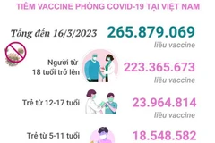 [Infographics] Tình hình tiêm vaccine phòng COVID-19 tại Việt Nam