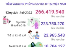 [Infographics] Tình hình tiêm vaccine phòng COVID-19 tại Việt Nam
