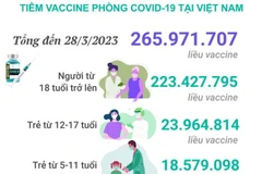 [Infographics] Tình hình tiêm vaccine phòng COVID-19 tại Việt Nam