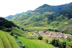 Tổng cục Lâm nghiệp phát động cuộc thi ảnh “Rừng và con người” 