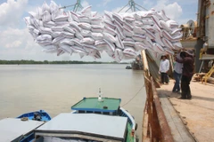 Bốc xếp gạo xuất khẩu tại Cảnh Nhà Bè. (Ảnh: Đình Huệ/TTXVN)