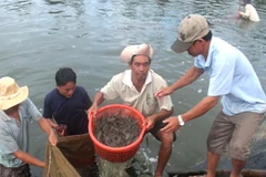 Doanh nghiệp Việt Nam đầu tiên đạt chứng nhận thủy sản bền vững 