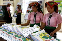 Xuất miễn phí hơn 2000 tấn hạt giống khắc phục hậu quả thiên tai