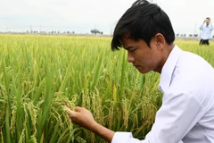 “Muốn nông nghiệp cạnh tranh thành công phải bắt đầu từ giống”