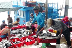 Thu mua cá tại cảng. (Ảnh: Nguyên Lý/TTXVN)