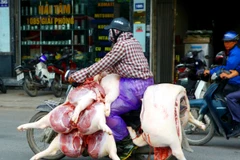 Vận chuyển thực phẩm không che đậy, mất vệ sinh trên địa bàn Hà Nội. (Ảnh: Ngọc Hà/TTXVN)