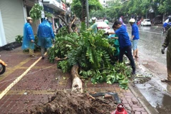 Các thanh niên tình nguyện miệt mài dọn dẹp giữa trời mưa to. (Ảnh: Sơn Bách/Vietnam+)