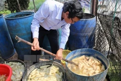 Kiểm tra việc sản xuất măng tại cơ sở kinh doanh măng ở huyện Hòa Vang. (Ảnh: Trần Lê Lâm/TTXVN)