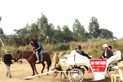 Dịch vụ cho thuê cưỡi ngựa “hút khách.” (Ảnh: Thanh Tâm/Vietnam+)