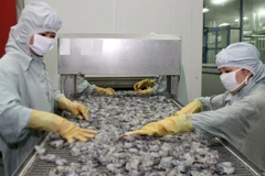 Chế biến tôm xuất khẩu tại Hậu Giang. (Ảnh: Huy Hùng/TTXVN)