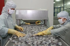 Khôi phục xuất khẩu tôm sú sống sang thị trường Trung Quốc 