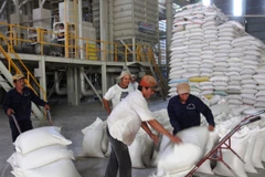 Lập Ban chỉ đạo chương trình trọng điểm nghiên cứu lúa gạo quốc gia