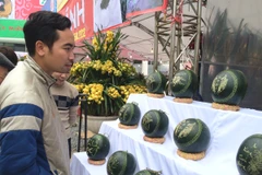 Dưa hấu tròn được chạm trổ "lạ" công phu thu hút người tiêu dùng mua tại Hội chợ. (Ảnh: Thanh Tâm/Vietnam+)