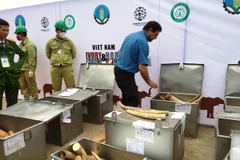 Hơn 2 tấn ngà voi và 70 kg sừng tê giác là tang vật buôn bán trái phép bị tiêu hủy. (Ảnh: Thanh Tâm/Vietnam+)