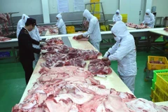 Kiểm tra sản phẩm thịt lợn tại nhà máy chế biến gia súc ở Hà Nội. (Ảnh: Vũ Sinh/TTXVN)