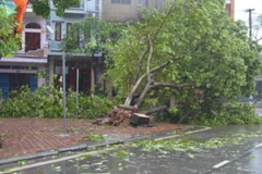 Siêu bão Rammasun đổ bộ khiến 4 người chết, 2 người mất tích