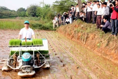 Ảnh minh họa: Trình diễn máy cấy tại huyện Thạch Thất, Hà Nội. (Nguồn: Đình Huệ/TTXVN)
