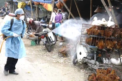 Phun thuốc khử trùng tiêu độc khu vực buôn bán gia cầm tại chợ Hà Vĩ (Hà Nội). (Ảnh: Đình Huệ/TTXVN)
