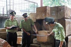 Đề nghị xử lý người vi phạm và đứng đầu Kiểm lâm cơ động số 1