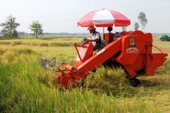 Năm tiêu chí công nhận vùng nông nghiệp công nghệ cao 