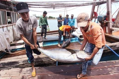 Sản lượng thủy sản cả nước tăng dù thời tiết nhiều bất lợi