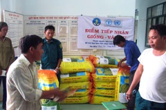 Phát giống hỗ trợ cho người dân ở tỉnh Ninh Thuận. (Ảnh: Công Thử/TTXVN)