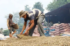 Giá trị xuất khẩu nông, lâm, thủy sản đồng loạt giảm trong tháng 11