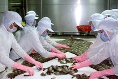 Chế biến tôm đông lạnh phục vụ xuất khẩu. (Ảnh: Lê Huy Hải/TTXVN)