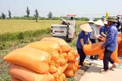 Việt Nam-Ireland ký biên bản hợp tác phát triển nông nghiệp