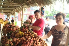 Người tiêu dùng Thủ đô hào hứng lựa chọn mua vải thiều Lục Ngạn. (Ảnh: Thanh Tâm/Vietnam+)