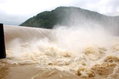 Ảnh chỉ có tính minh họa. (Nguồn: Nguyễn Đăng Lâm/TTXVN)